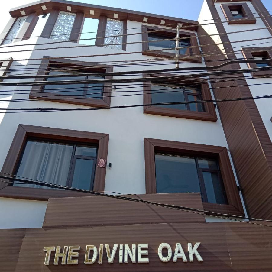 The Divine Oak Hotell Katra  Eksteriør bilde